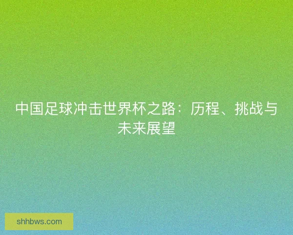 中国足球冲击世界杯之路：历程、挑战与未来展望