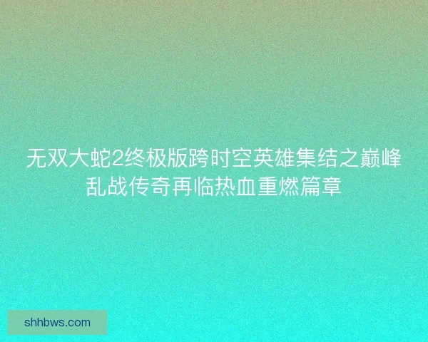 无双大蛇2终极版跨时空英雄集结之巅峰乱战传奇再临热血重燃篇章