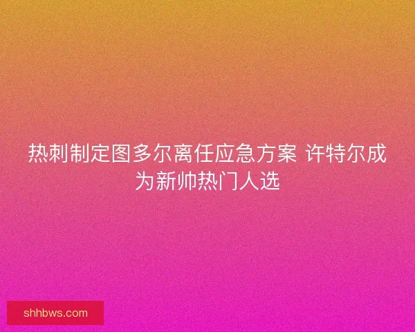 热刺制定图多尔离任应急方案 许特尔成为新帅热门人选